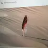 Hector Wilson - @hector.wilson2 - TikTok