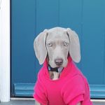 hector woods - @hector.woods1945 - Instagram