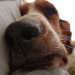 Hector Woods - @hector.woods - Instagram