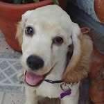 Hector Wright Lopez - @hectorwrightlopez - Instagram