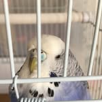 Hᴇᴄᴛᴏʀ ʕ•ᴥ•ʔ - @hector_wuvs_u - Instagram