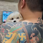 Hector Wu - @hectorwu47 - Instagram