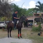 Hector Yanes M - @mhectoryanes - Instagram