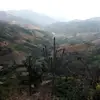 Hector Yangua Rios - @hector.yangua.rio - TikTok