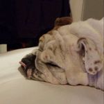 Hector Young - @hectey504 - Instagram
