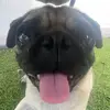 hectorzuno225 - @hectorzuno225 - TikTok