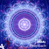 Hedi Bachler - @hedibachler - TikTok
