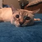 Hedwig Jones - Facebook