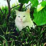 hedy - @hedy_edwards_ - Instagram