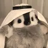 Hedy Hallkaut - @hedy.hallkaut - TikTok