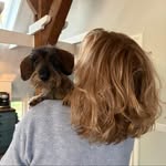 @hedy.rosendal - Instagram