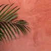 hee.cha - @31701677073 - TikTok