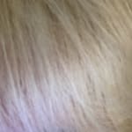 アン　ヒチャン - @heechan920218 - Instagram