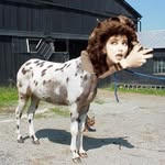 hee-haw! - @ichangeintothemuleheehaw - Instagram