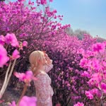 여행하는➰노햐 - @noh__heeah - Instagram