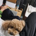김희심 - @heesim_kim - Instagram