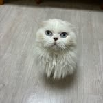 Lee_h.j - @hee_joo.lee - Instagram