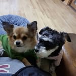 Heeju Park - @skyi62 - Instagram