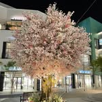 Heeju Park - @freefuture_ - Instagram