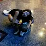 Heeju Park - @heejupark30 - TikTok