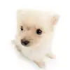 Heejung Park - @heejung.park8 - TikTok