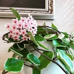 heejung CHO - @heejung061 - Instagram