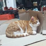 손희정 heejung son - @hand_hj33 - Instagram