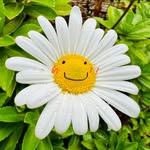손희정 - @_heejung_son - Instagram