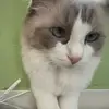 희정입니다 - @hee.jung.son6 - TikTok