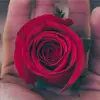 Heena bashir ahamed - @user415649213 - TikTok