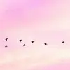 Heena - @heenagupta0000 - TikTok