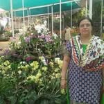 @heena.parikh - Instagram