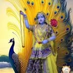 Heena Parikh - @heenacp - Instagram