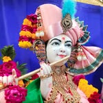 Heena Parikh - @parikhheena2 - Instagram