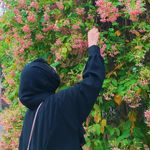 🌼ہیر شیخ - @heer_shaikh_ - Instagram