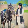 🔥😎شیخ ہیرا کہتے ہے😈 - @sheikhheera47 - TikTok