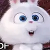 양희수 - @yangheesoo7 - TikTok