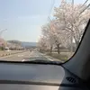 양희수 - @yangheesoo - TikTok