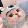 핫셀럽 - @kim_hee_tae - TikTok