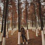 Hei Cheng Cheang - @heiiicheng - Instagram