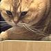 Hei Yu Cheng - Facebook