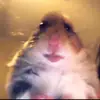 user9258626709639 - @heidi...angle - TikTok