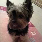 Heidi Arendt - Facebook