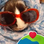 Heidi Arendt - Facebook