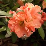 Heidi Armstrong - @h.armstrong.52 - Instagram