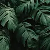 Heidi Armstrong - @milehighaesthetics - TikTok