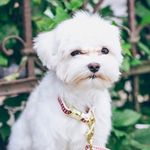 @_heidi.arthur - Instagram