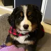 Heidi Arthur Johnson Jr. - @heidi.the.swiss.m5 - TikTok