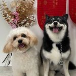 HEIDI & ASHER - @heidi.and.asher - Instagram