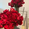 heidi_ash4 - @heidi_ash4 - TikTok